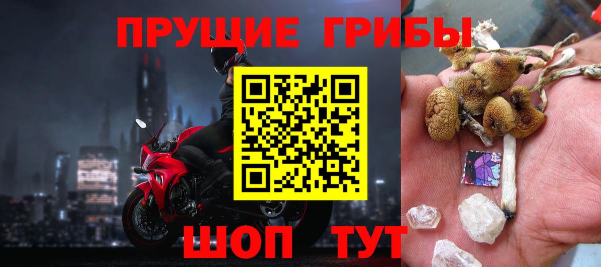 Псилоцибиновые грибы Psilocybine cubensis  купить наркоту  Новый Уренгой  Вход с VPN 