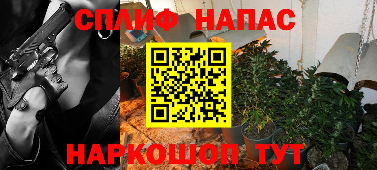 Шишки марихуана марихуана  Вход с VPN  Новый Уренгой  Бошки Шишки THC 21%  Бошки Шишки MAZAR 